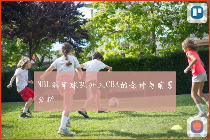 NBL冠军球队升入CBA的条件与前景分析