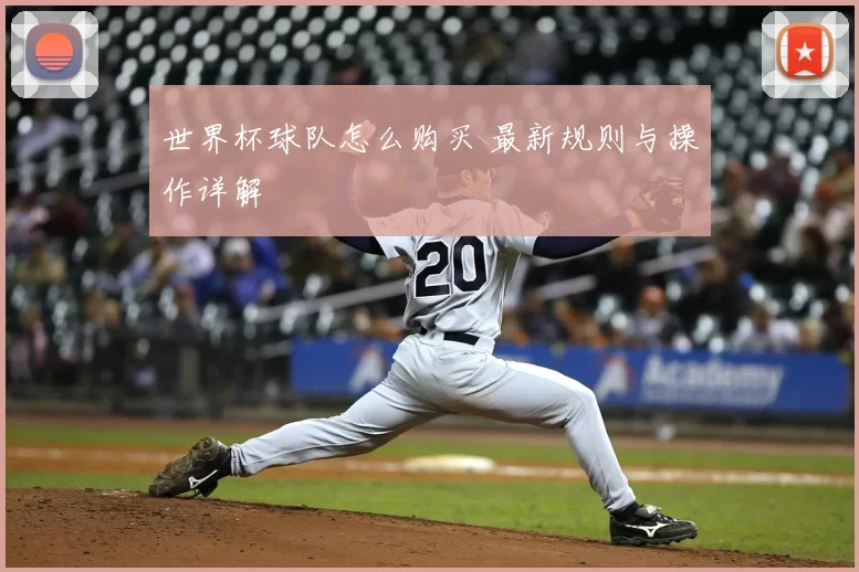 世界杯球队怎么购买 最新规则与操作详解