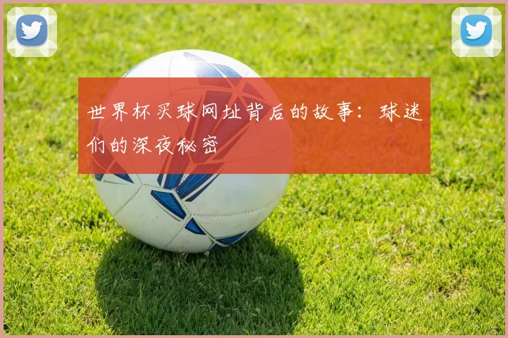 世界杯买球网址背后的故事：球迷们的深夜秘密