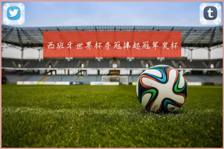 西班牙世界杯夺冠捧起冠军奖杯