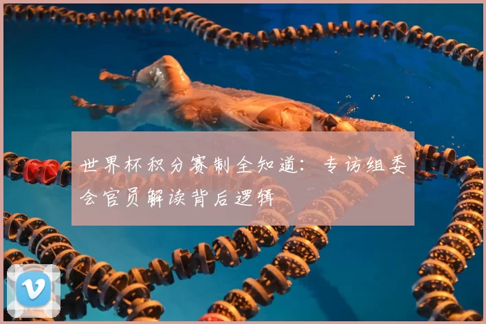 世界杯积分赛制全知道:专访组委会官员解读背后逻辑