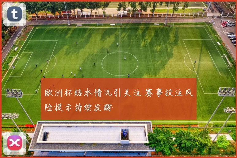 欧洲杯赔水情况引关注 赛事投注风险提示持续发酵