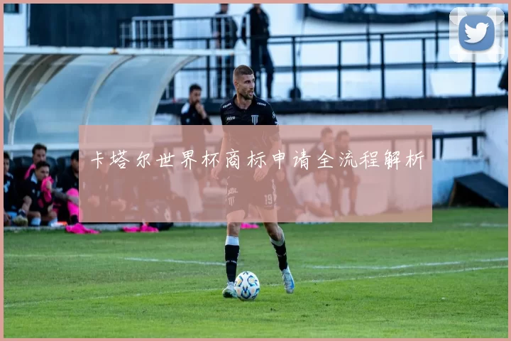 卡塔尔世界杯商标申请全流程解析