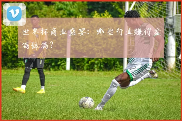 世界杯商业盛宴:哪些行业赚得盆满钵满?